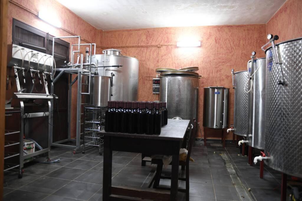 Finca Angelus Apartment Syrah With Amazing Views La Matanza De Acentejo Exterior foto